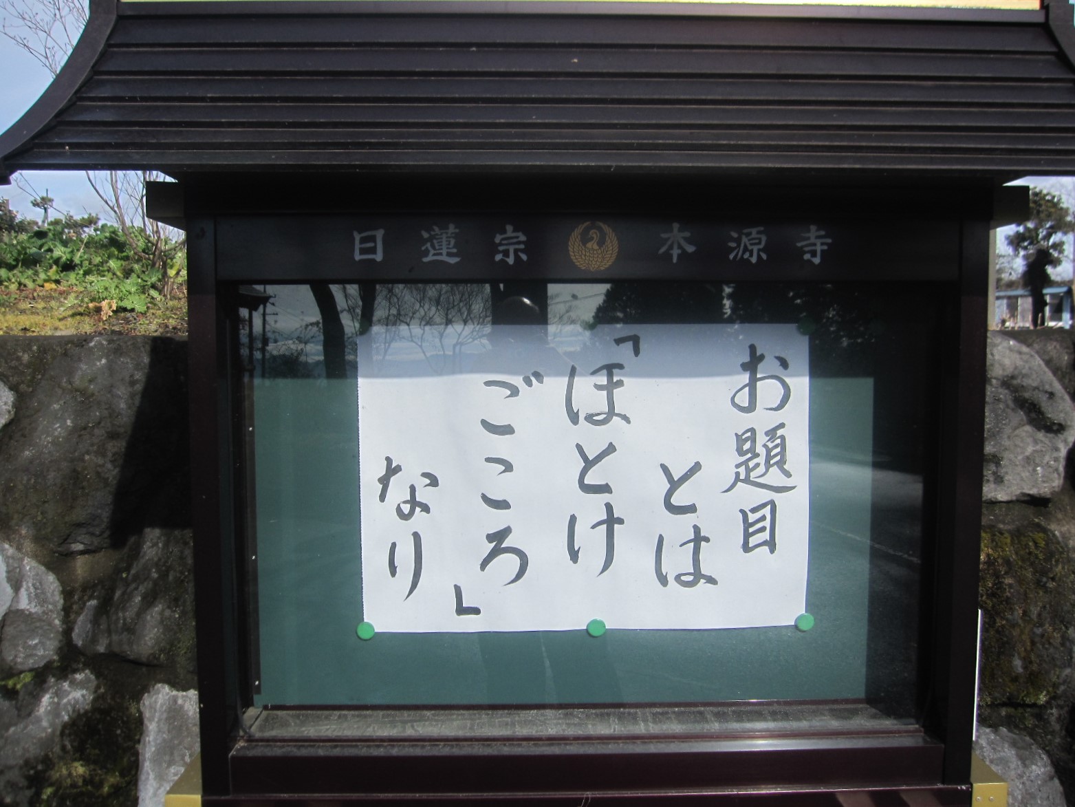 ２月１６日は日蓮聖人８００歳の誕生日！