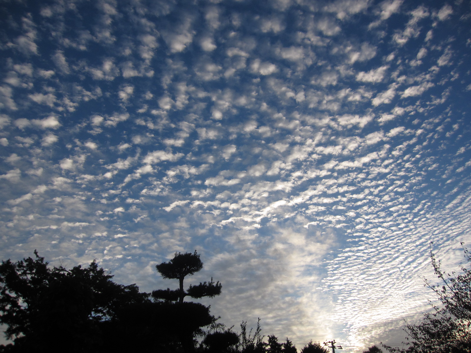 うろこ雲（いわし雲）