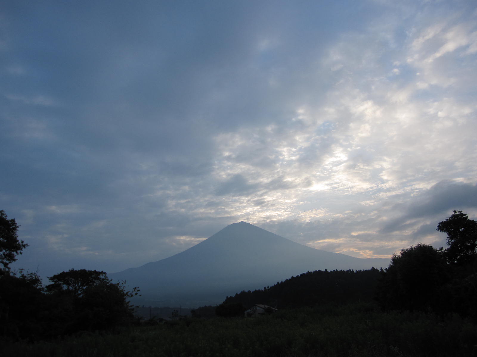 朝霧（あさぎり）